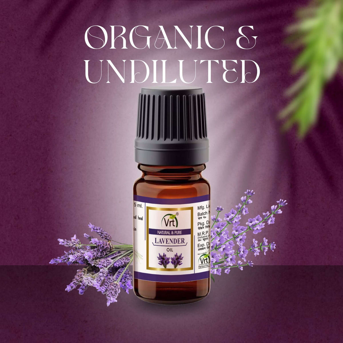 Lavender Essential Oil 