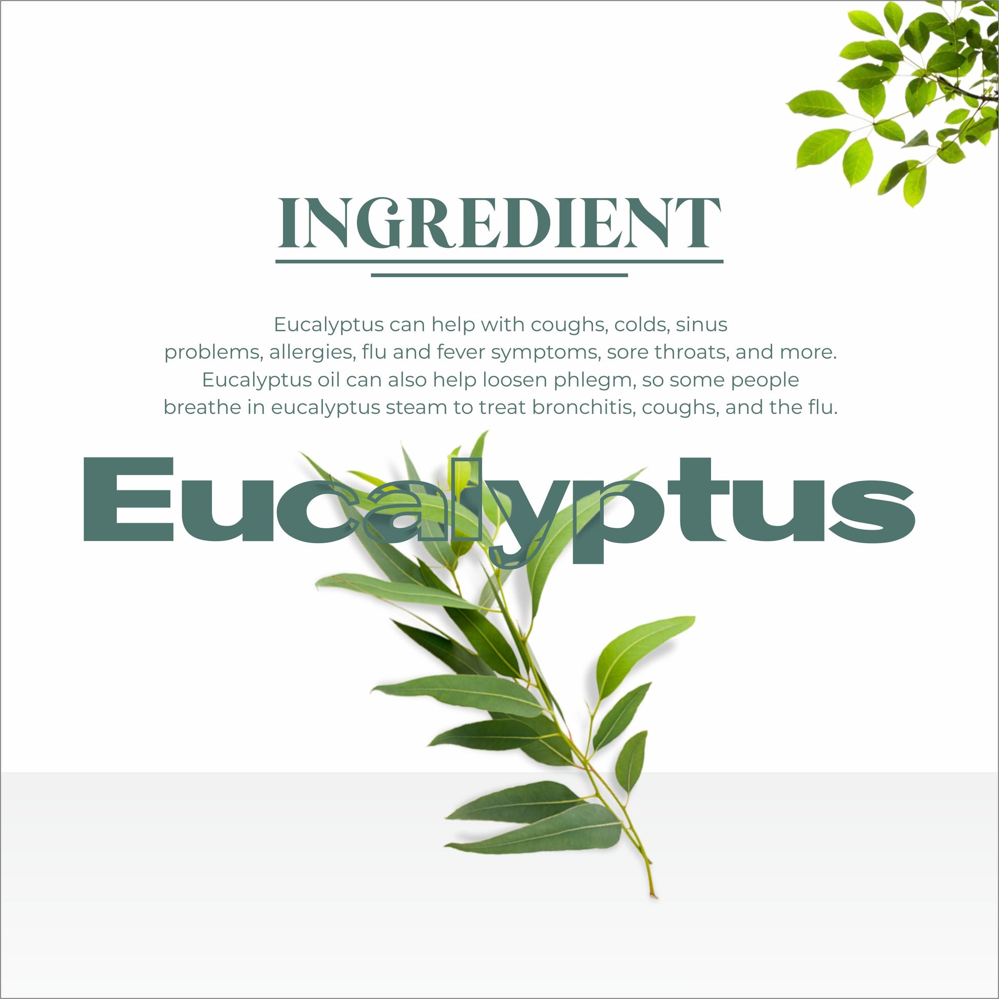 best eucalyptus oil in meerut, ayurvedic oil, \