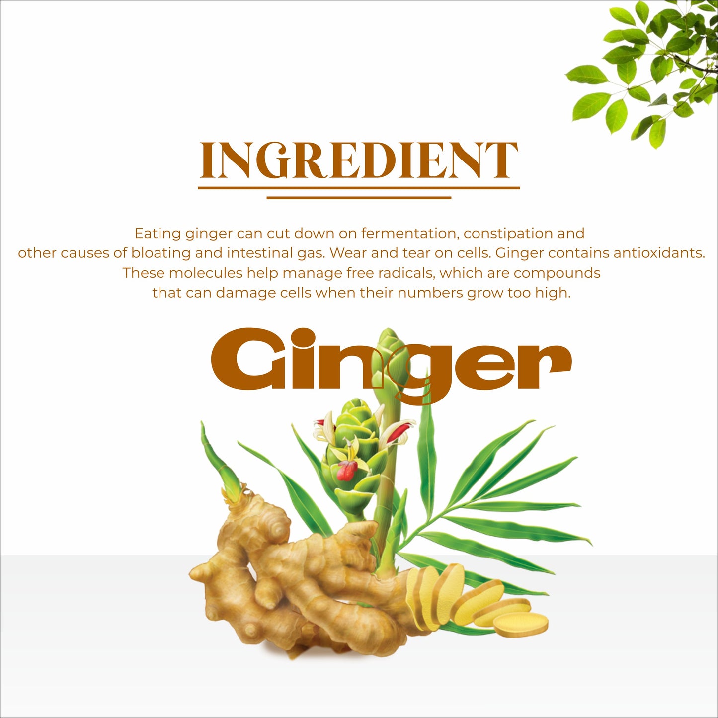 ginger oil, massage oil, pain relief, ayurvedic oil
