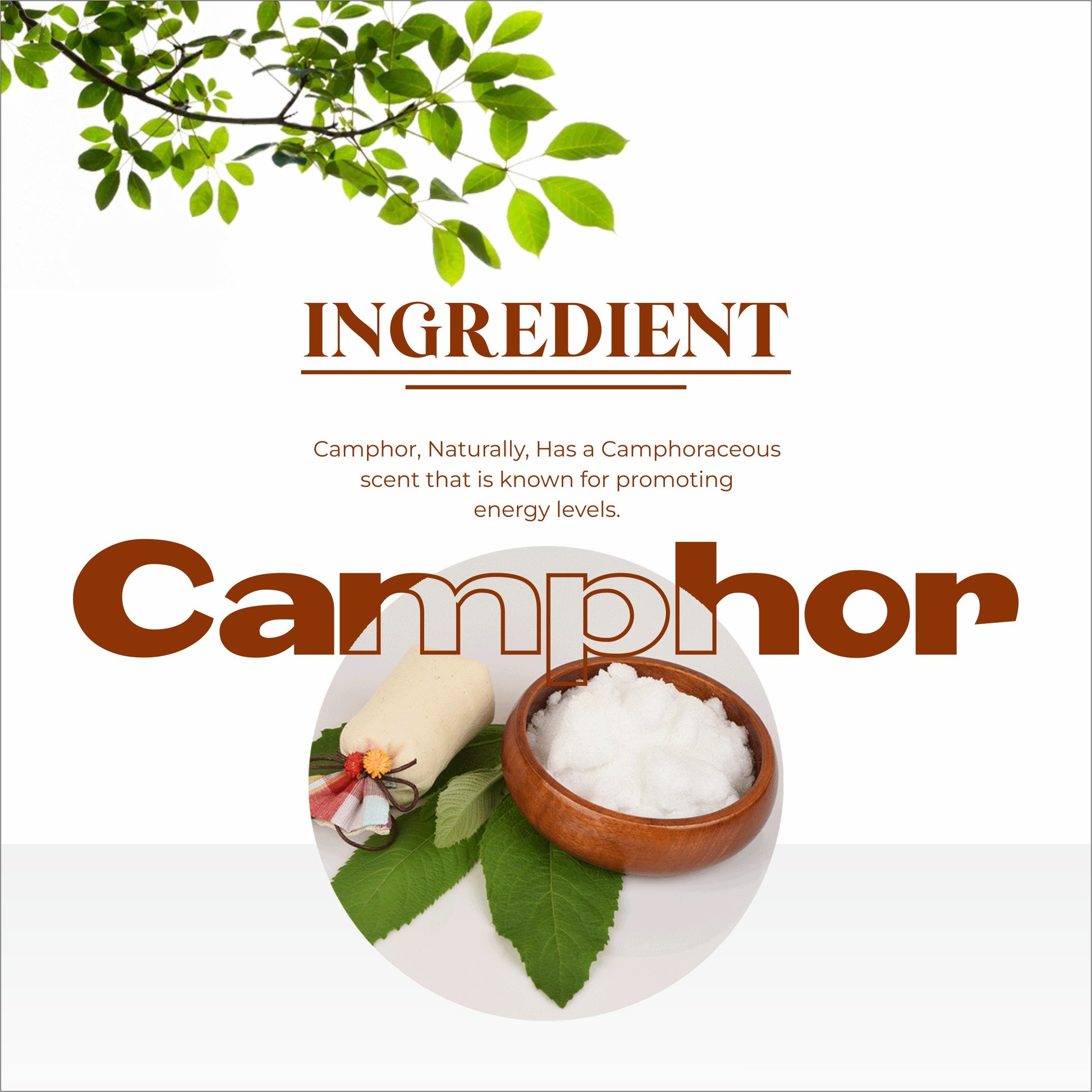 Naturally camphor oil, best ayurvedic oil, meerut 